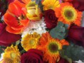 /album/arranjos-florais/img-0665-jpg1/