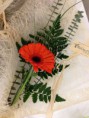/album/arranjos-florais/img-0677-jpg1/